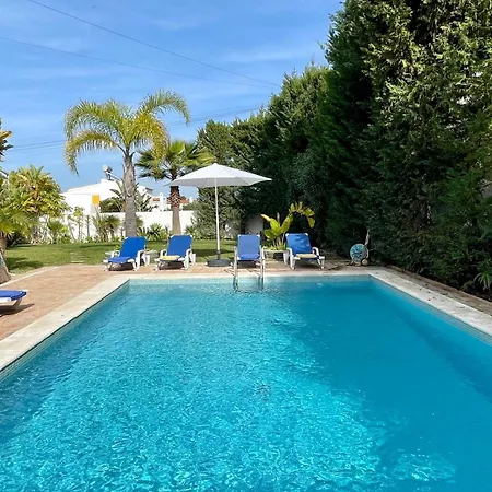 Golfinho By Check-in Portugal